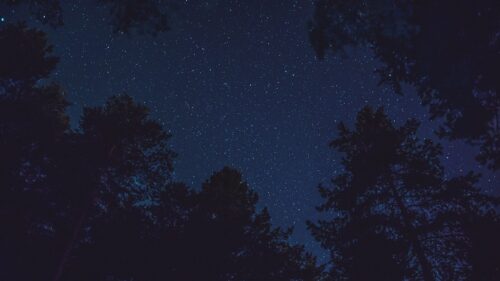 Starry, Sky, Bottom, View Wallpapers Free Download