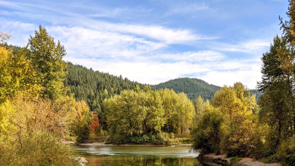 The Best Wallpapers Related to Lake, Trees, Forest