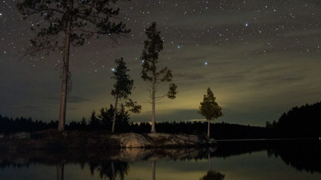 The Best Wallpapers Related to Lake, Trees, Starry