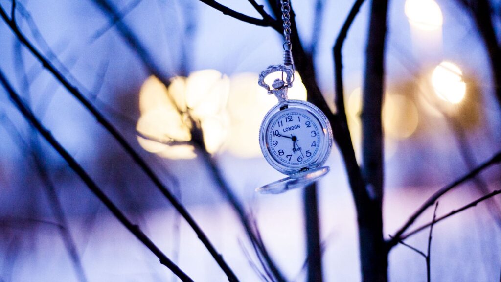 Watches, Branches, Winter Best HD Wallpapers Free Download