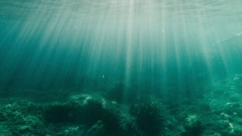 Water, Rays, Bottom HD Wallpapers Free Download