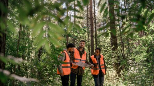 Professional Surveyors Exploring the Forest 4K Desktop Wallpaper