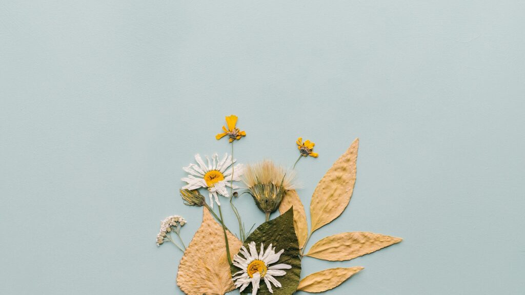 Minimalist Dried Wildflowers on Soft Blue Aesthetic Desktop Wallpaper