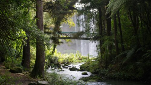 Enchanting Waterfall and Bridge in Lush Green Forest Desktop Wallpaper