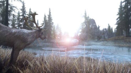Majestic Elk in a Misty Frozen Forest Morning Desktop Wallpaper