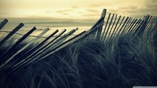 Moody Coastal Landscape with Weathered Wooden Fence Desktop Wallpaper