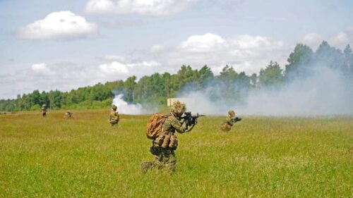 Canadian Soldiers Tactical Training in Grassy Field Desktop Wallpaper
