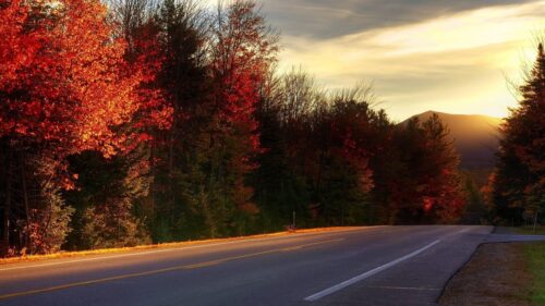 Stunning Autumn Road Trip Through Vibrant Fall Foliage Desktop Wallpaper