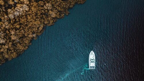 Aerial View of a Boat Floating Near Golden Mangrove Trees Desktop Wallpaper