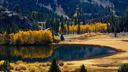 Breathtaking Autumn Forest Lake Landscape with Golden Foliage 4K Wallpaper