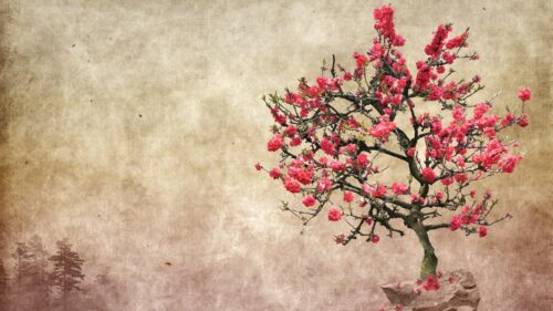 Vintage Style Cherry Blossom Tree Artistic Desktop Wallpaper
