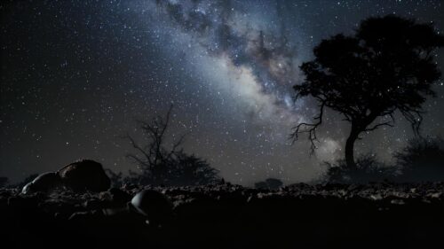 Breathtaking Milky Way Galaxy Over Silhouetted African Landscape 4K Wallpaper