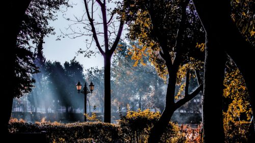 Misty Autumn Park Morning with Glowing Street Lamp 4K Wallpaper