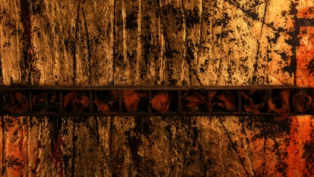 Abstract Golden Textured Wall with Dried Rose Petals 4K Wallpaper