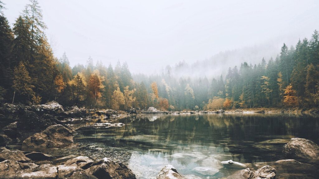 Misty Autumn Forest Lake Reflection PC Wallpaper