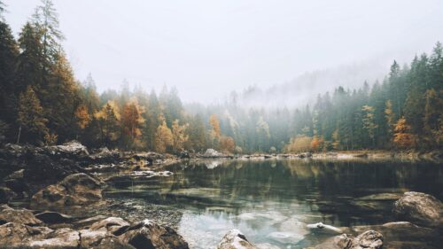Misty Autumn Forest Lake Reflection PC Wallpaper