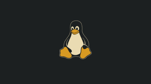 Minimalist Tux Linux Mascot Logo Dark Grey Background PC Wallpaper
