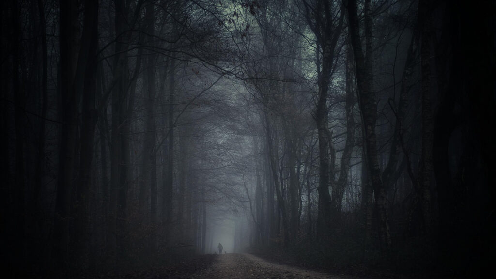 Lone Walker on a Misty Dark Forest Path PC Wallpaper