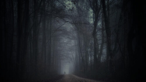 Lone Walker on a Misty Dark Forest Path PC Wallpaper