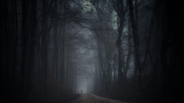Lone Walker on a Misty Dark Forest Path PC Wallpaper