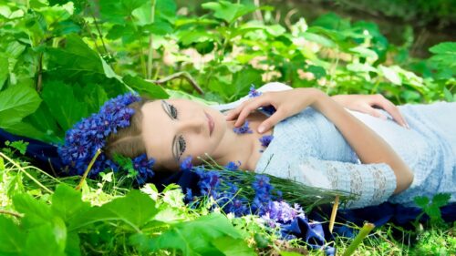 Beautiful Woman Lying in a Field of Blue Cornflowers Desktop Wallpaper