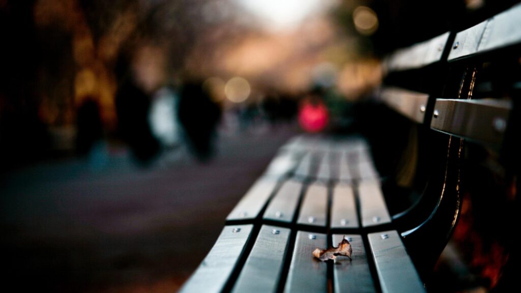 Lonely Park Bench with Fallen Leaf at Sunset PC Wallpaper