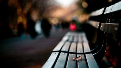 Lonely Park Bench with Fallen Leaf at Sunset PC Wallpaper