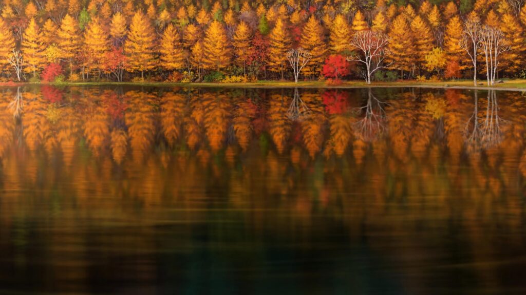 Stunning Autumn Forest Lake Reflection Landscape 4K PC Wallpaper