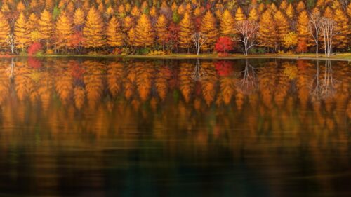 Stunning Autumn Forest Lake Reflection Landscape 4K PC Wallpaper