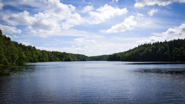 Serene Lake Surrounded by Lush Green Forest Desktop Wallpaper