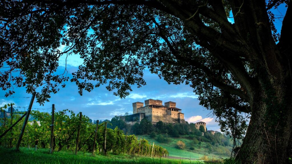 Medieval Italian Castle Landscape Overlooking Vineyards 4K Wallpaper