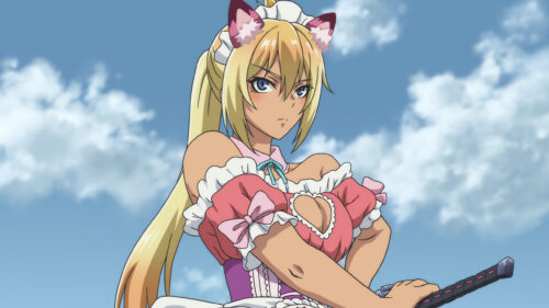 Anime Girl with Cat Ears in Pink Maid Outfit Desktop Wallpaper