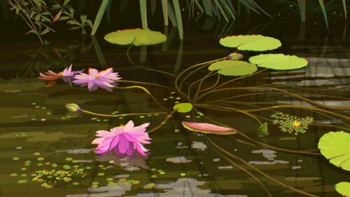 Serene Pink Water Lilies in a Dark Pond Artistic Desktop Wallpaper
