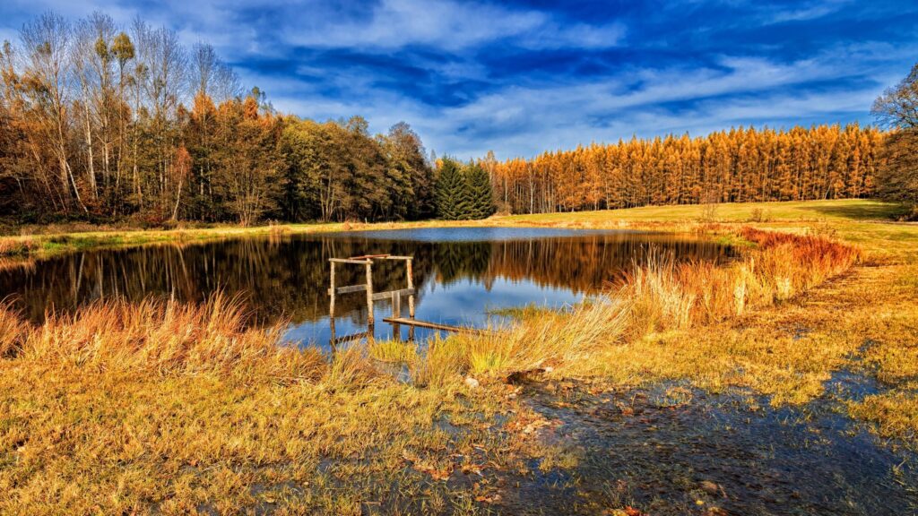 Stunning Autumn Landscape With Calm Lake and Golden Forest Desktop Wallpaper