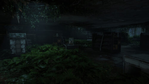 Post-Apocalyptic Abandoned Store Overgrown with Nature Desktop Wallpaper