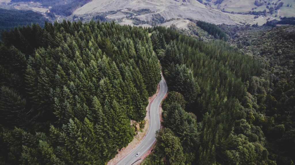 Aerial View of Winding Road Through Lush Pine Forest 4K Wallpaper