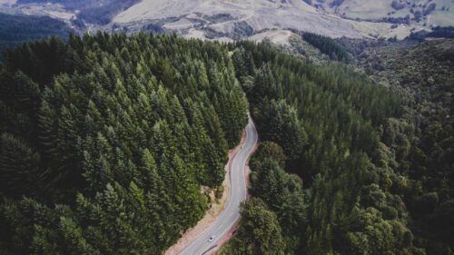 Aerial View of Winding Road Through Lush Pine Forest 4K Wallpaper