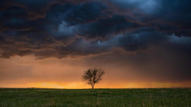 Lonely Tree Under Dramatic Stormy Sunset PC Wallpaper