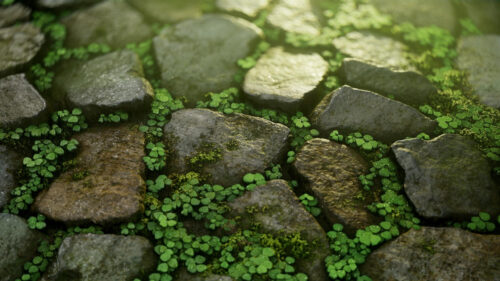 Sunlit Cobblestone Path with Lush Green Plants Desktop Wallpaper