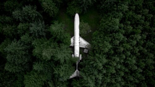 Abandoned Airplane Crashed in a Deep Green Forest Desktop Wallpaper