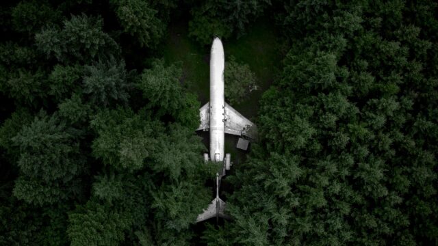 Abandoned Airplane Crashed in a Deep Green Forest Desktop Wallpaper