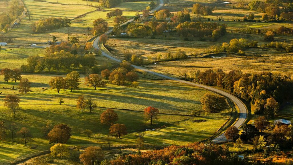 Aerial View of Winding Country Road Through Golden Autumn Fields PC Wallpaper