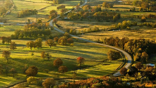 Aerial View of Winding Country Road Through Golden Autumn Fields PC Wallpaper