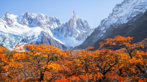 Breathtaking Autumn Forest with Snow Capped Mountain Peaks Desktop Wallpaper