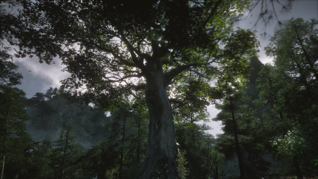Majestic Ancient Forest Tree Under Morning Sunlight 4K Wallpaper