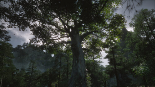 Majestic Ancient Forest Tree Under Morning Sunlight 4K Wallpaper
