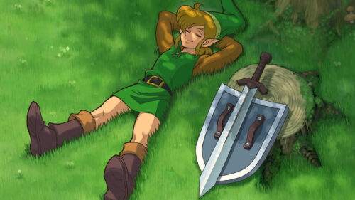Link Resting in Hyrule Field Desktop Wallpaper