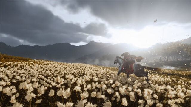 Ghost of Tsushima Horse Ride through Pampas Grass Desktop Wallpaper