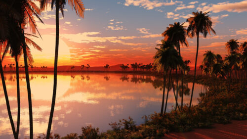 Tropical Desert Oasis Sunset Scene 4K Desktop Wallpaper