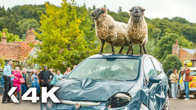 Funny Sheep Standing on Damaged Fiat Car 4K Wallpaper